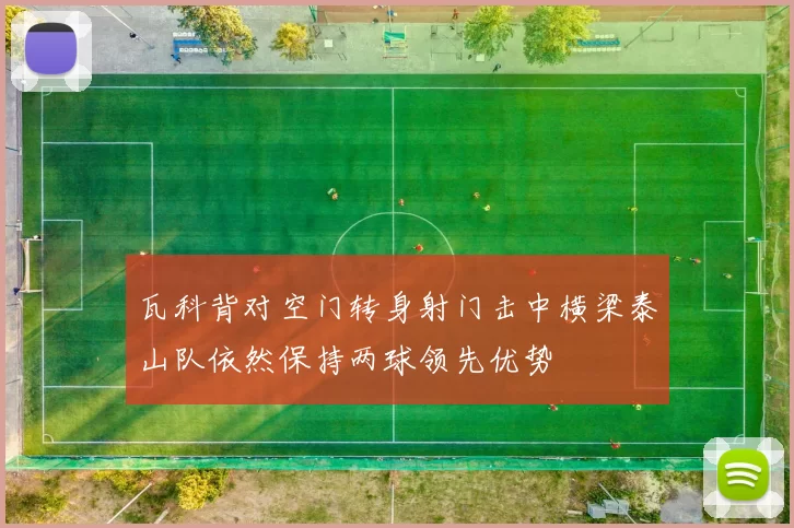 瓦科背对空门转身射门击中横梁泰山队依然保持两球领先优势